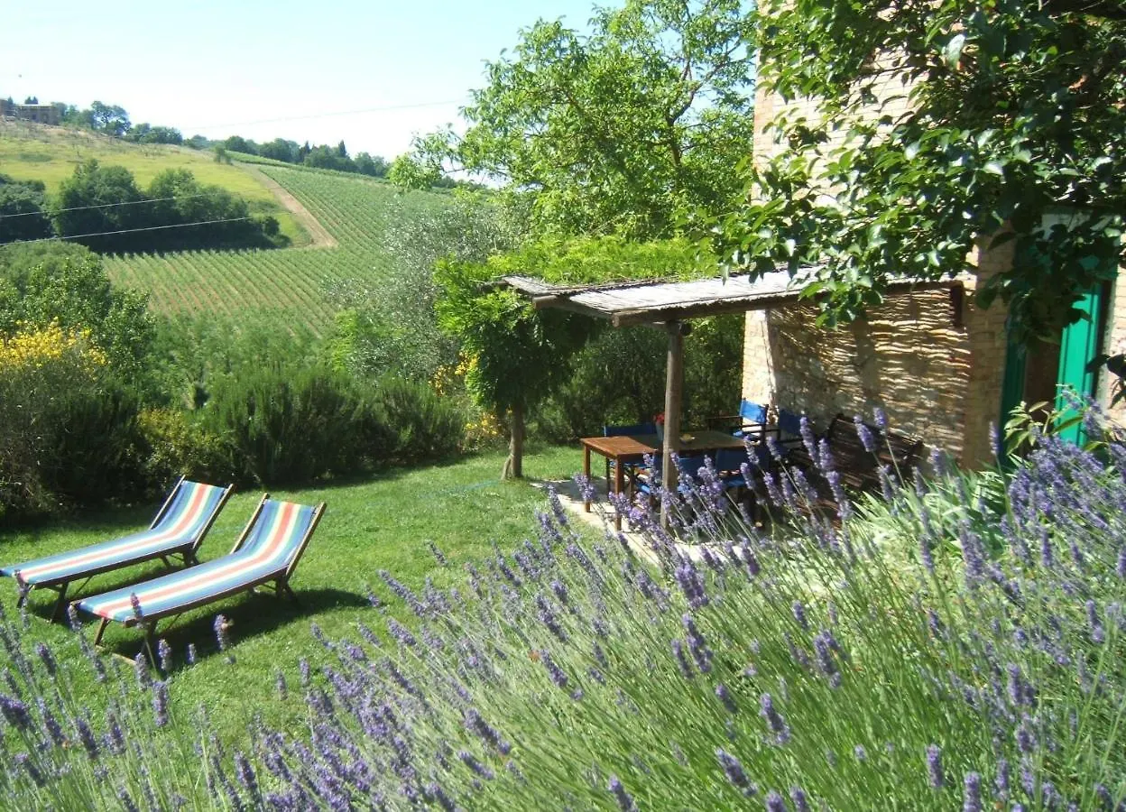Vakantieboerderij Agriturismo & Winery Il Bacio Tavarnelle Val di Pesa