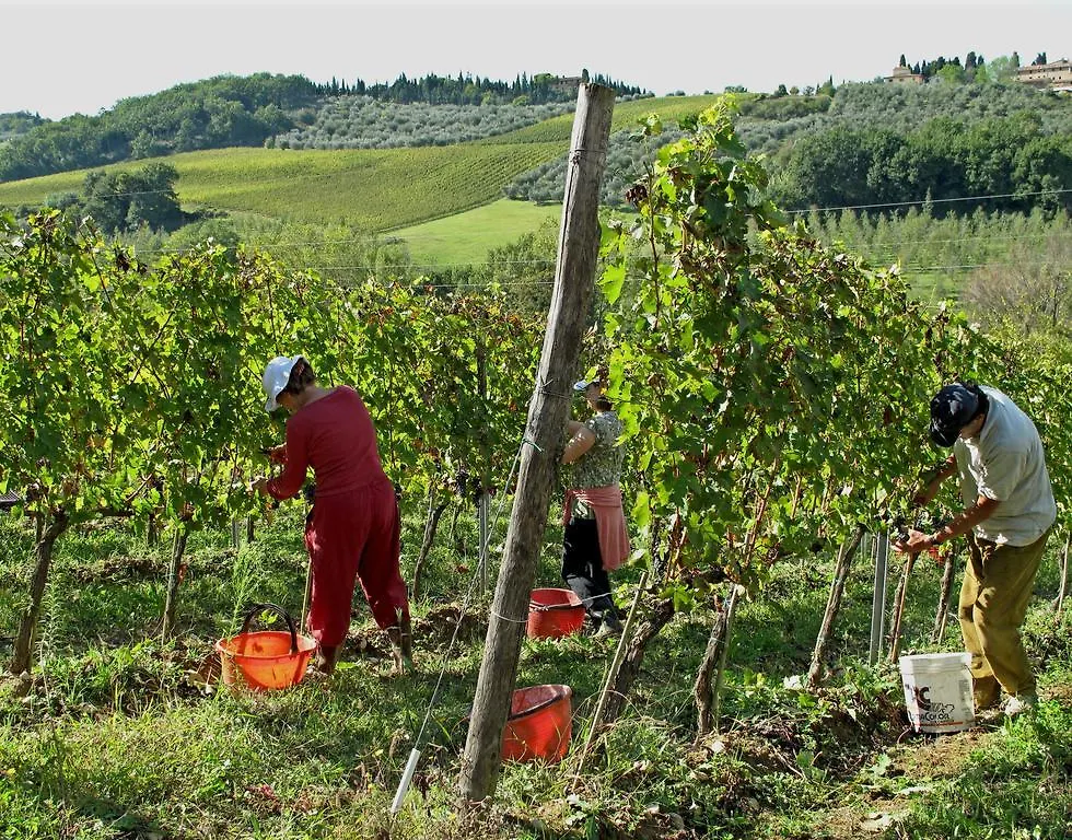 Agriturismo & Winery Il Bacio Tavarnelle Val di Pesa